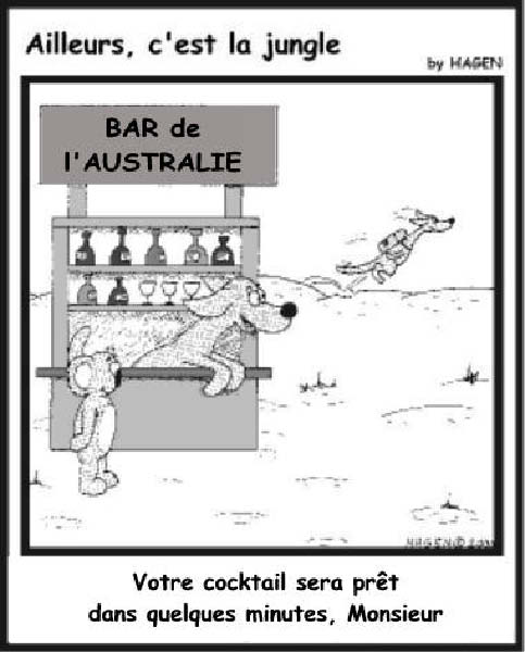 Ailleurs, c'est la jungle 4-humourenvrac